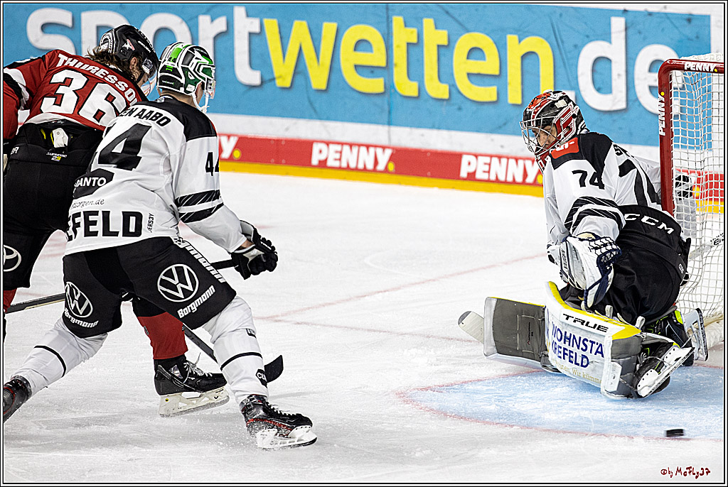 PENNY DEL;  Koelner Haie - Krefeld Pinguine; Koeln, 31.10.2021
